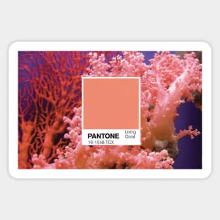 Living coral color Sticker